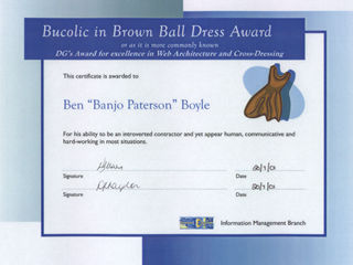 Scan: Bucolic in Brown Ball Dress Award